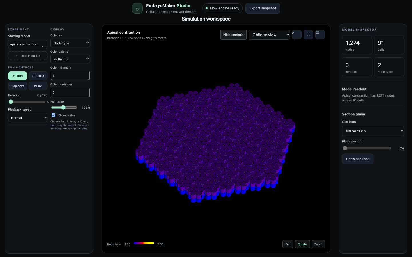 EmbryoMaker Studio showing a model view, experiment controls, display settings and the model inspector